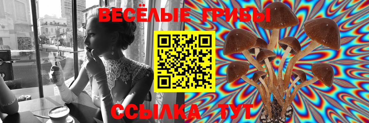 Галлюциногенные грибы GOLDEN TEACHER  Псилоцибиновые грибы Magic Shrooms  Карталы  наркошоп  Вход с VPN 